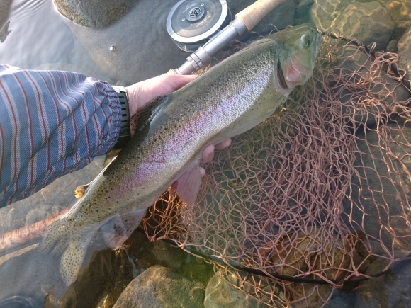 c0157482_11024149.jpg