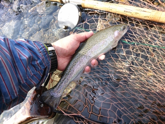 c0157482_11252666.jpg