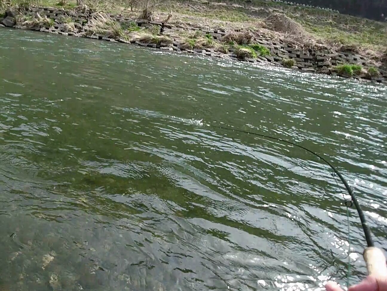 c0157482_11262173.jpg