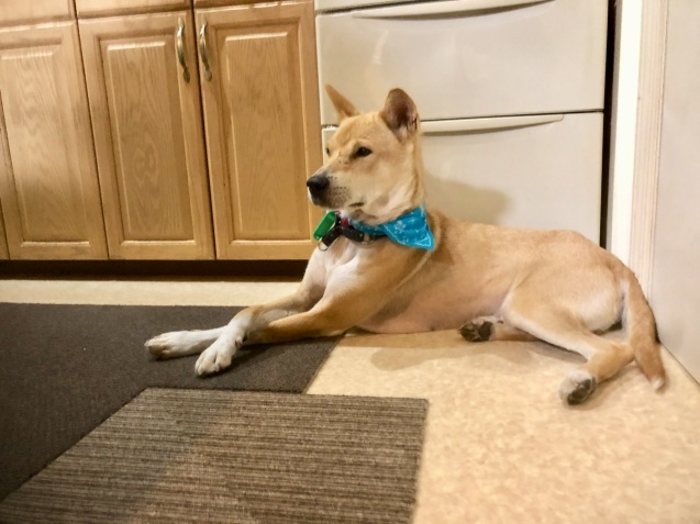 c0332184_20414426.jpeg