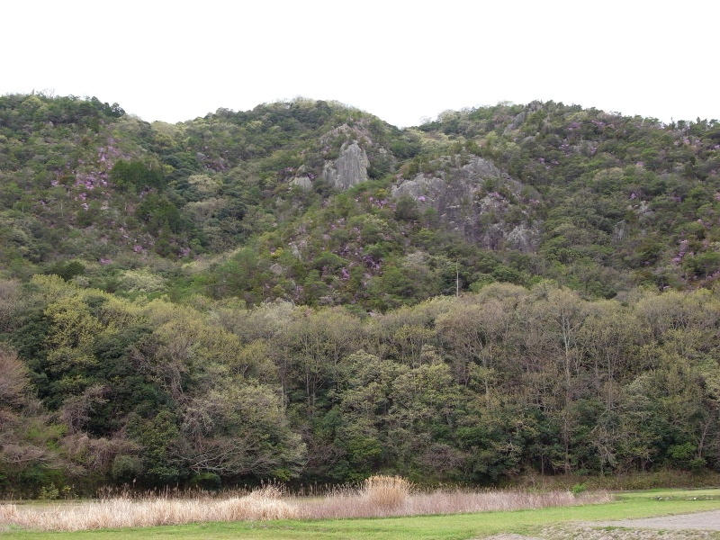 f0325295_15345364.jpg