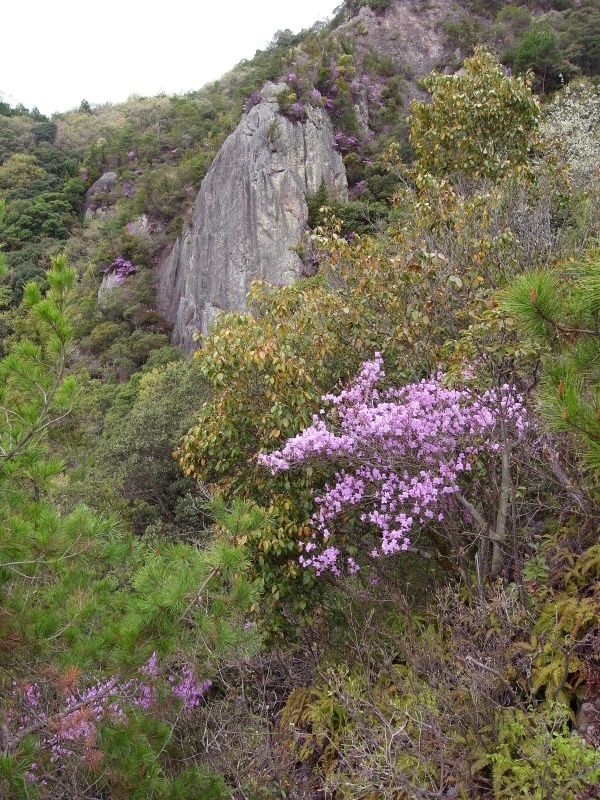 f0325295_15345688.jpg
