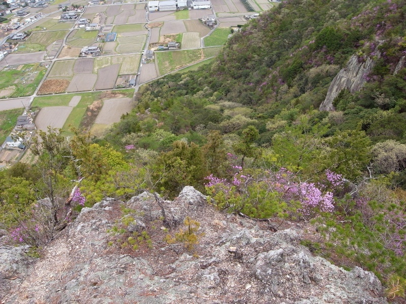 f0325295_15350211.jpg