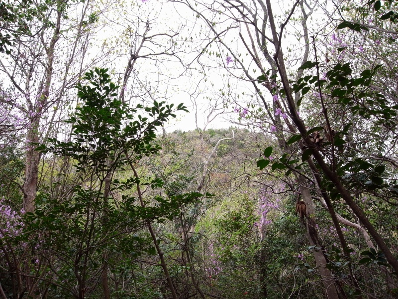 f0325295_15533099.jpg