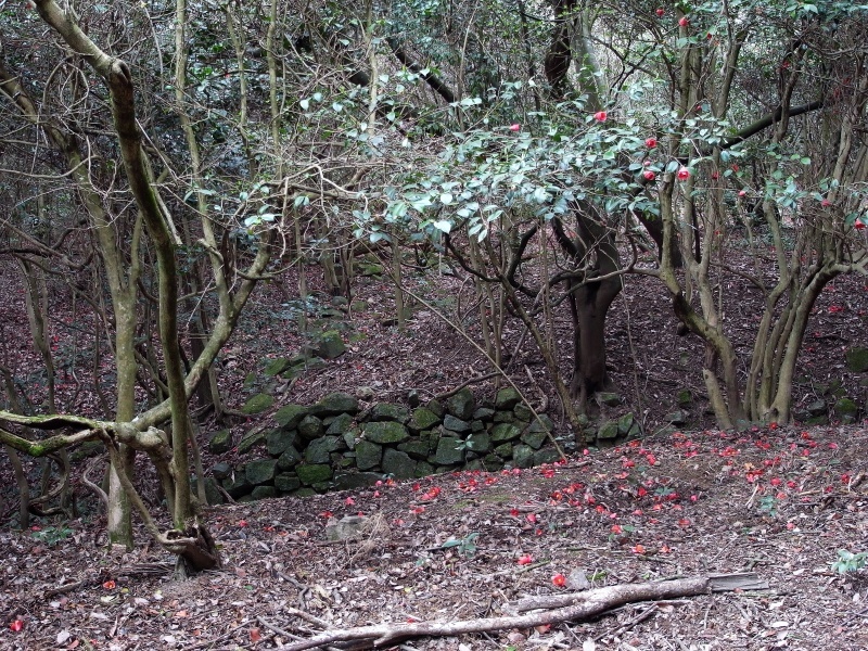 f0325295_15573976.jpg