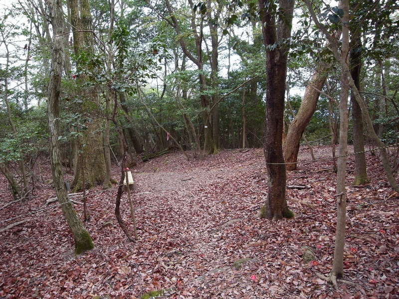 f0325295_15595083.jpg