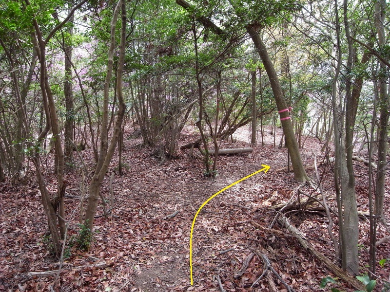 f0325295_16131881.jpg