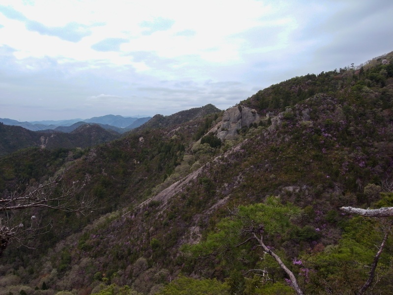 f0325295_16155771.jpg