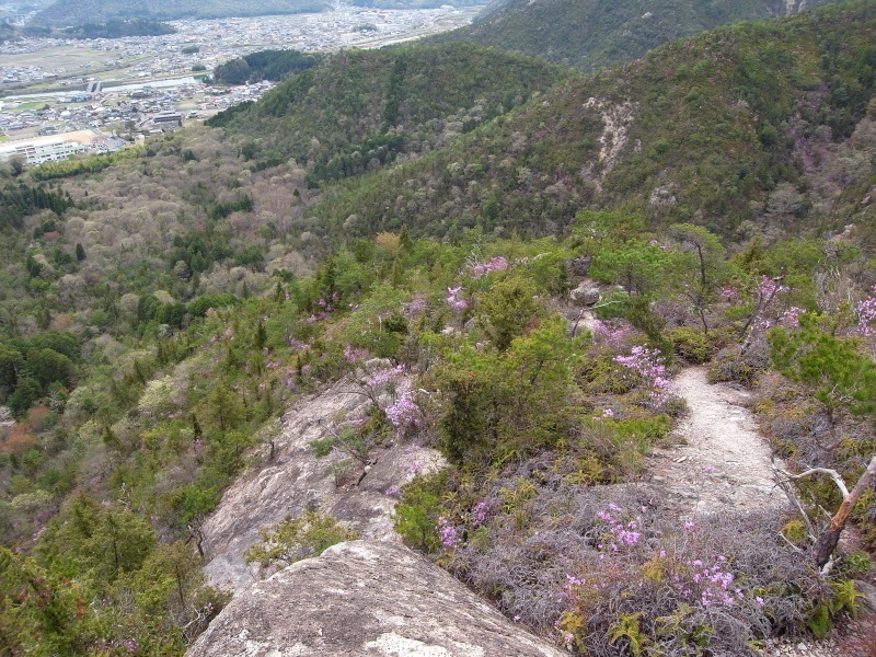 f0325295_16160167.jpg