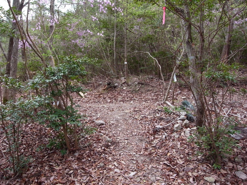 f0325295_16160897.jpg