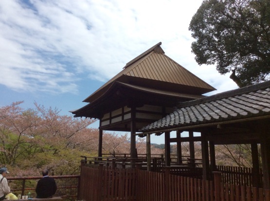 春の石山詣で  石山寺（滋賀）  2018．4_f0247600_08273818.jpg