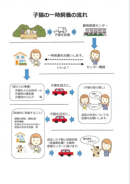 【募集】センター「子猫の一時飼養ボランティア」さん募集_f0242002_14073936.jpg