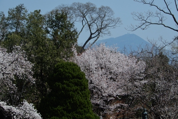 c0345705_11534838.jpg