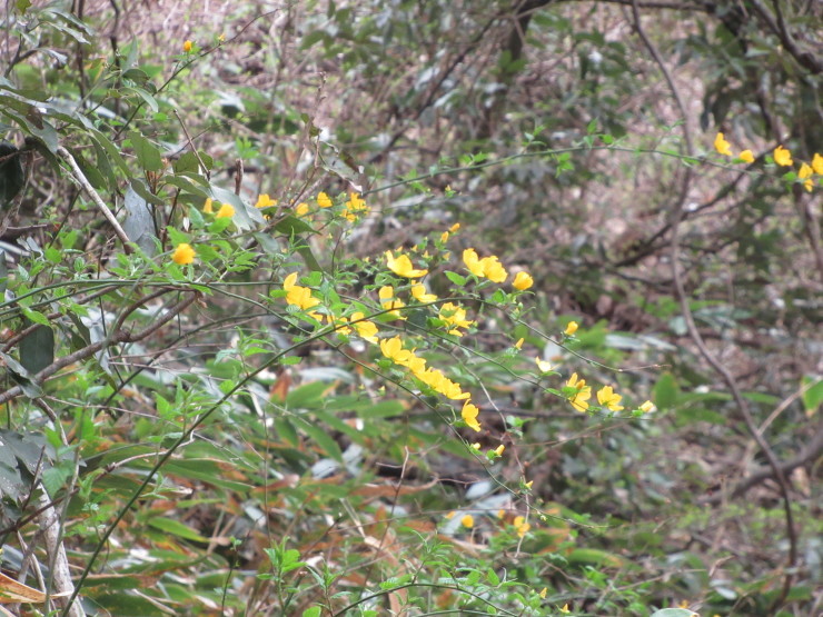 f0219710_08074034.jpg