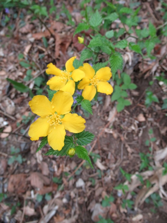 f0219710_08080800.jpg