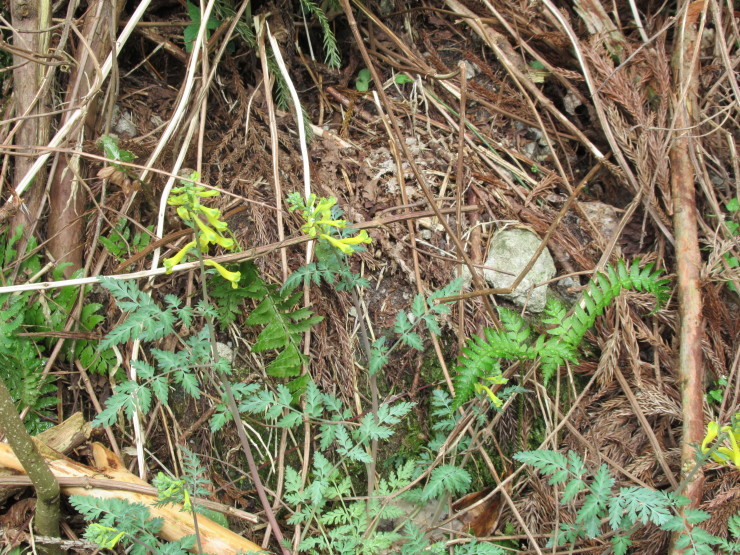 f0219710_08181561.jpg