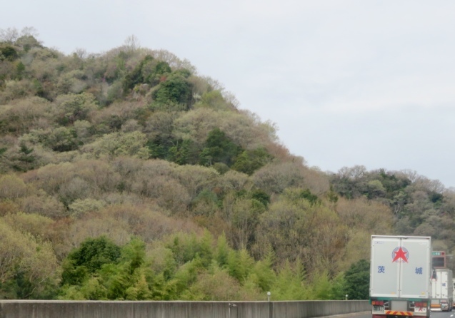 b0344816_21124735.jpeg