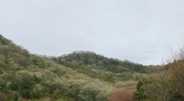 b0344816_21131797.jpeg
