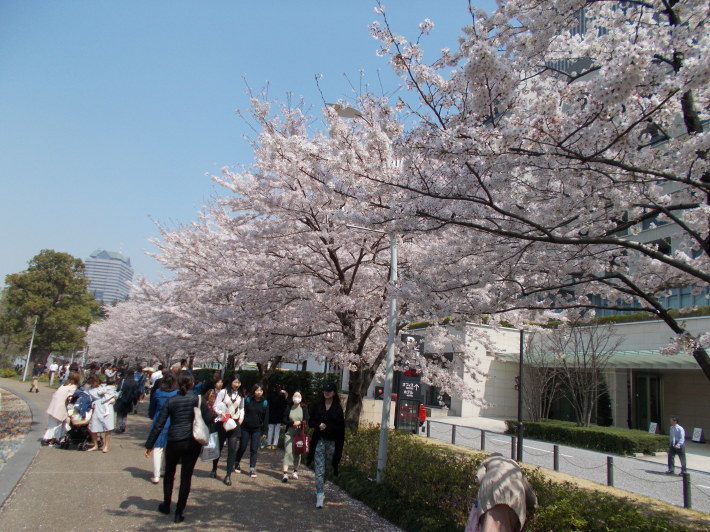a0116217_23230310.jpg