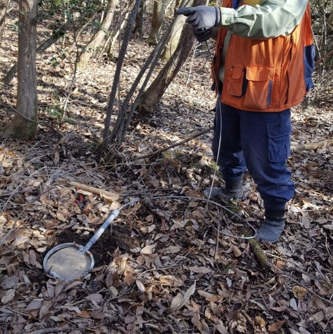 f0142721_13131901.jpeg