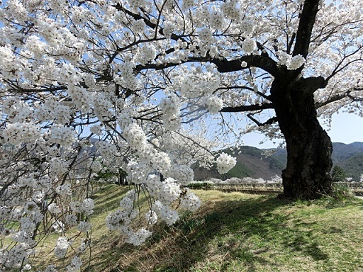e0234924_14591229.jpg