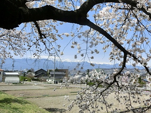 e0234924_14593467.jpg