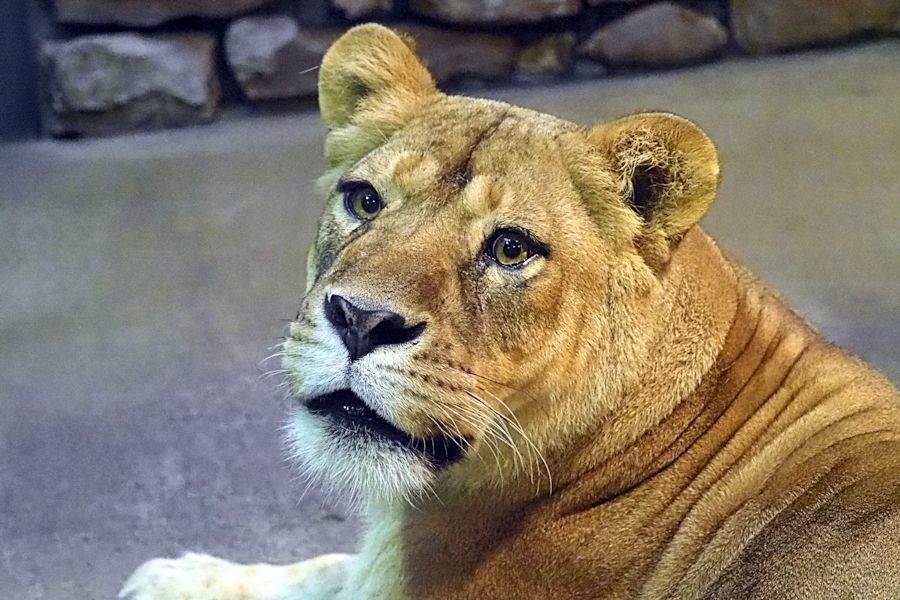 f0224624_08021931.jpg