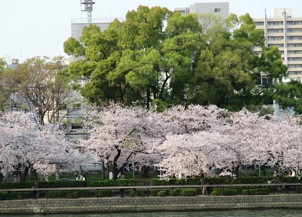 d0352628_12425251.jpg
