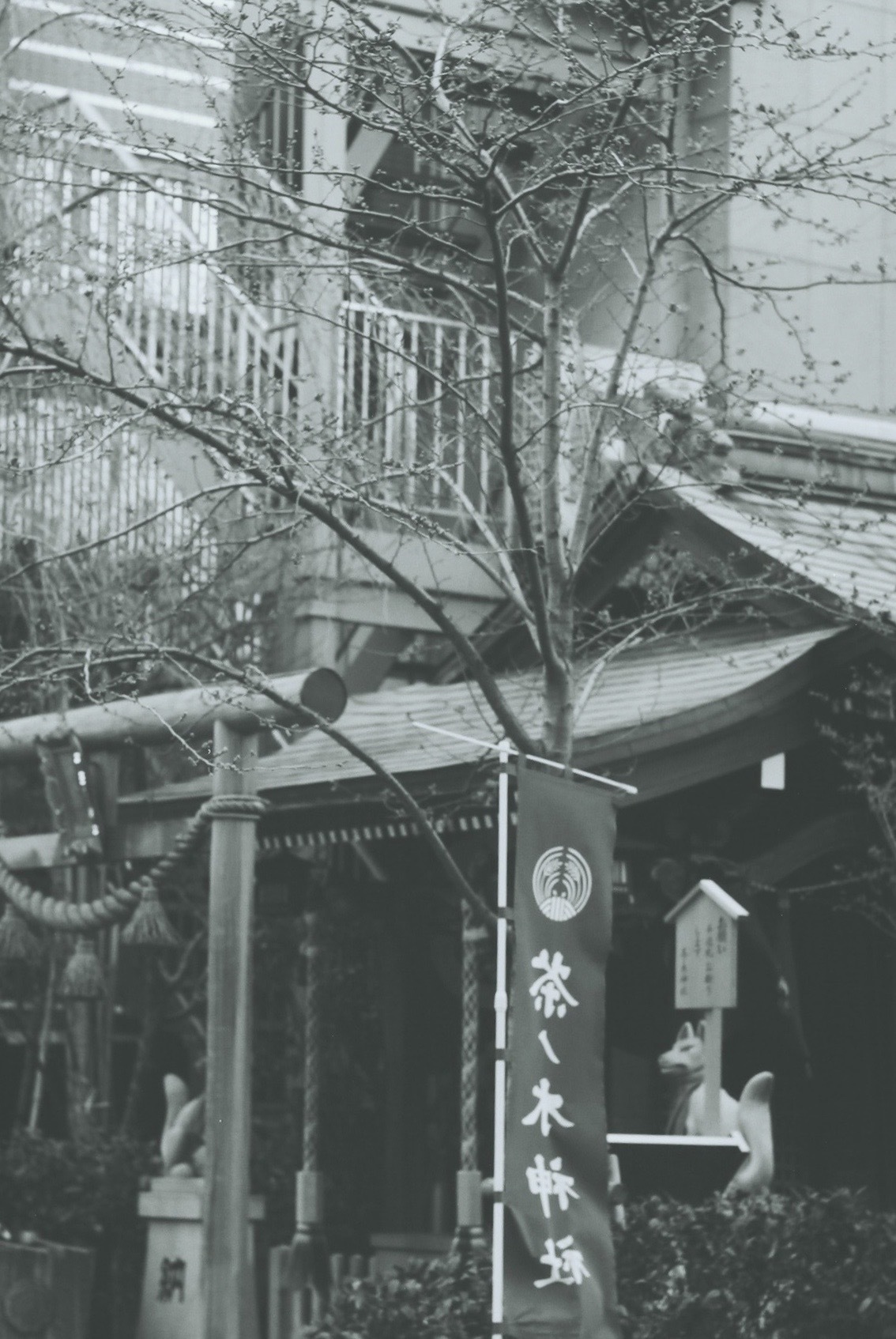 b0330432_21581110.jpeg