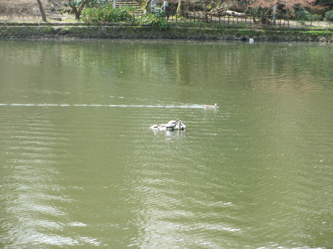 生き物の写真を撮ってみる_f0364035_20444992.jpg