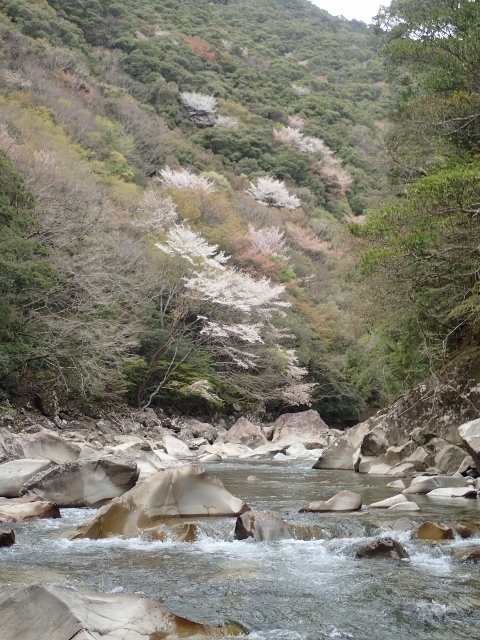 d0378939_07002454.jpg