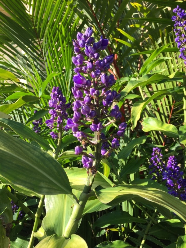 c0196240_11330751.jpeg
