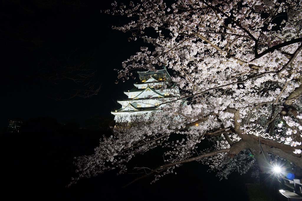 大阪城西ノ丸庭園・観桜ナイター@2018-03-28_d0250840_01433570.jpg