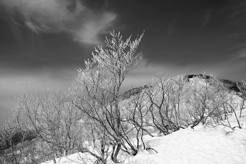 d0347140_12173990.jpg