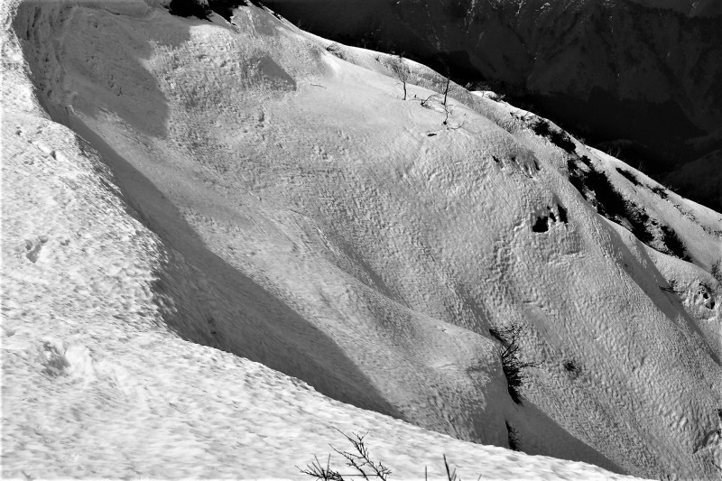 d0347140_12175474.jpg