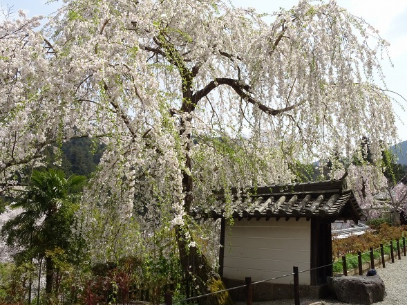 b0299042_22144519.jpg