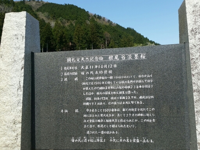 c0295742_14450378.jpg