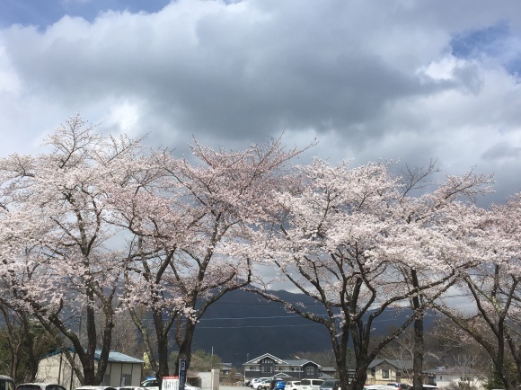 e0297347_13234515.jpeg