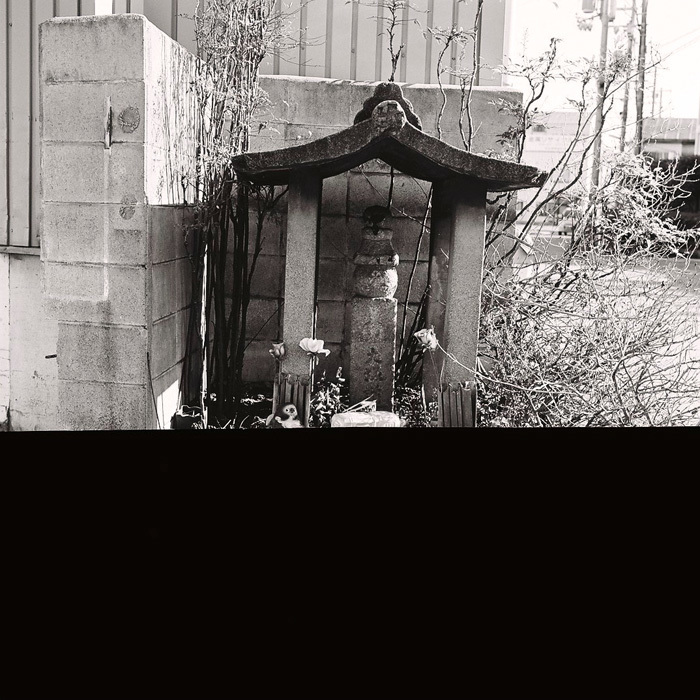 c0181552_20195824.jpg