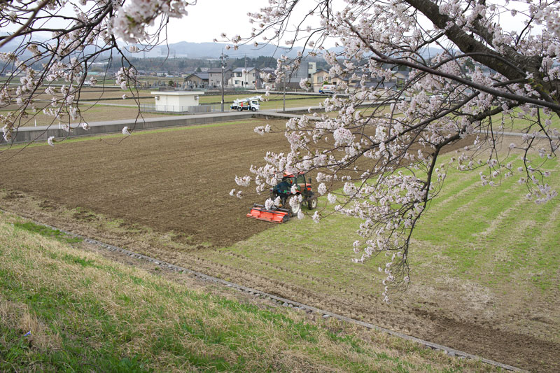 d0342652_1457924.jpg