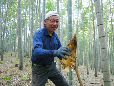 幻の白い「長生たけのこ」(熊本県産)大好評販売中!令和4年度、本日初出荷!幻の白い長生たけのこの条件_a0254656_18220465.jpg
