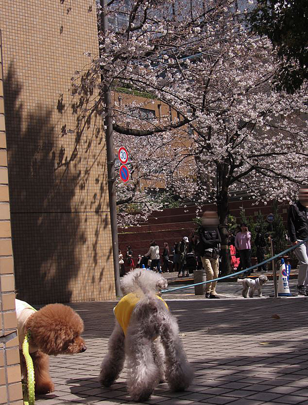e0129656_23163324.jpg
