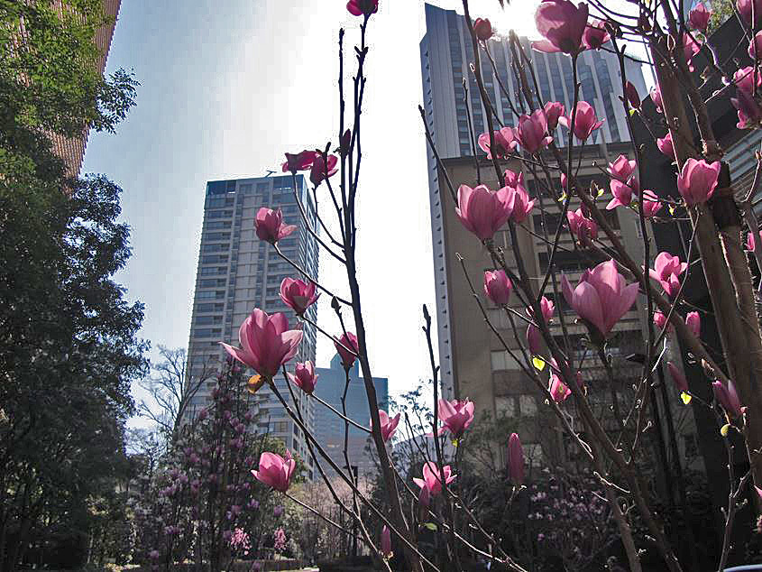 e0129656_23173179.jpg