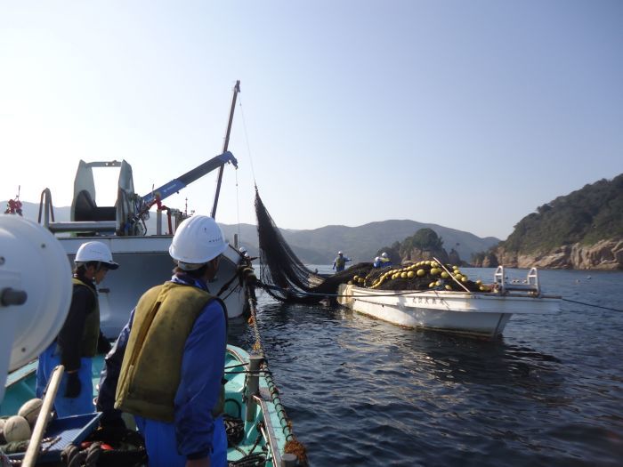 海の仕事(大敷網)_d0159062_17011713.jpg