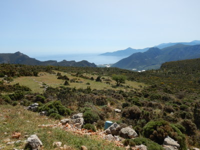 f0362263_15160127.jpeg
