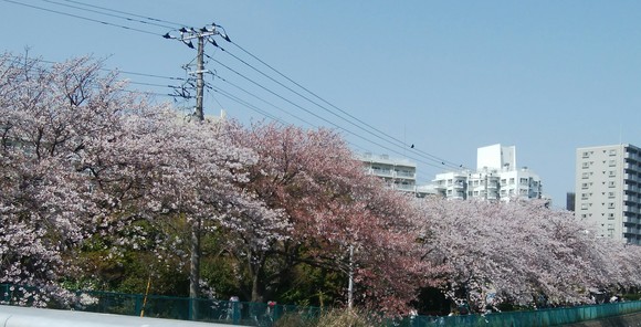 f0165567_6332770.jpg