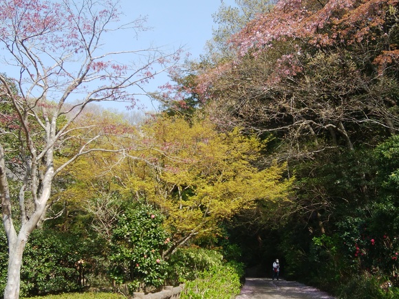 f0165567_6354814.jpg