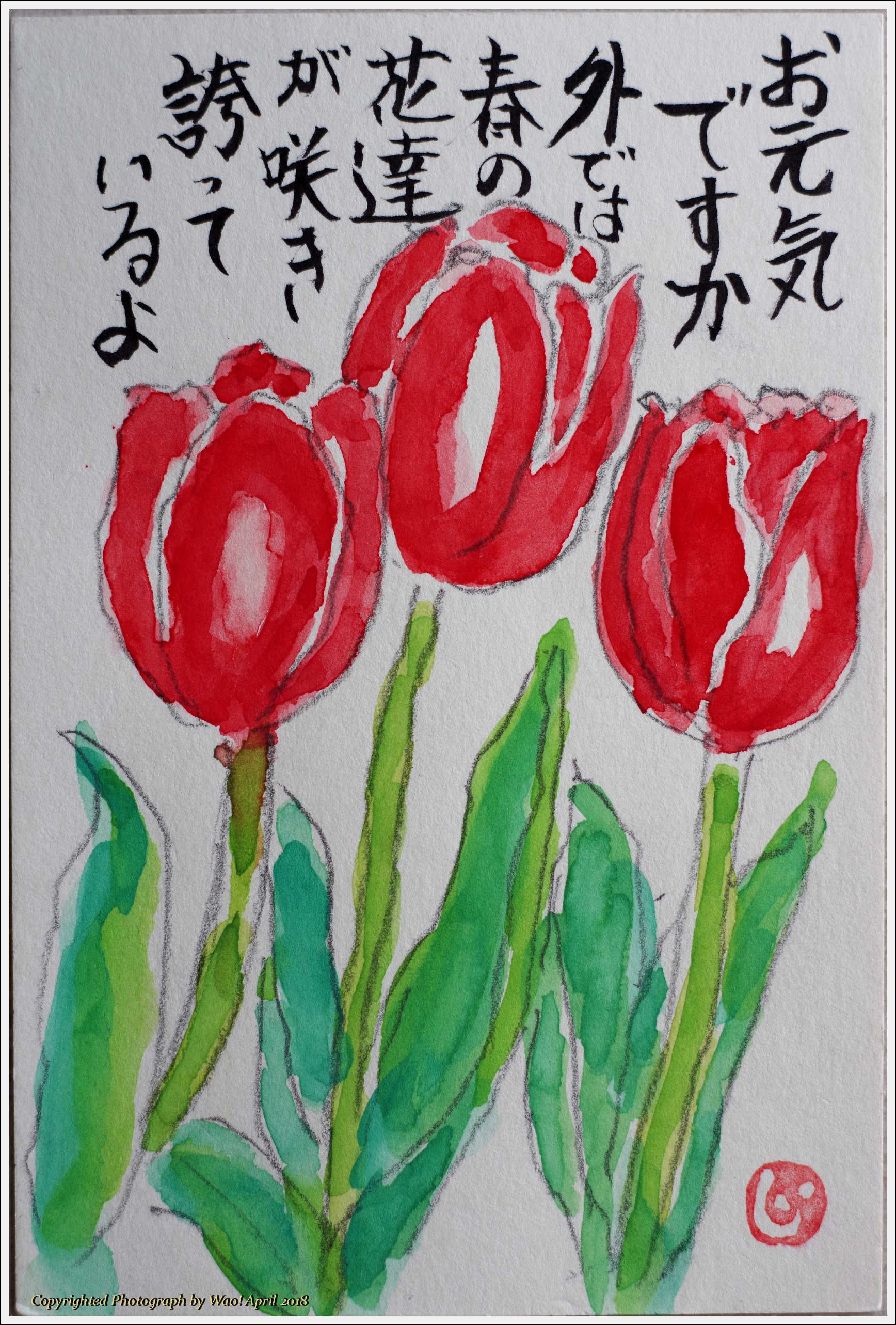 カミさんの絵手紙 春になれば 野鳥の素顔 野鳥と日々の出来事 カミさんの絵手紙 春になれば 野鳥の素顔 野鳥と日々の出来事
