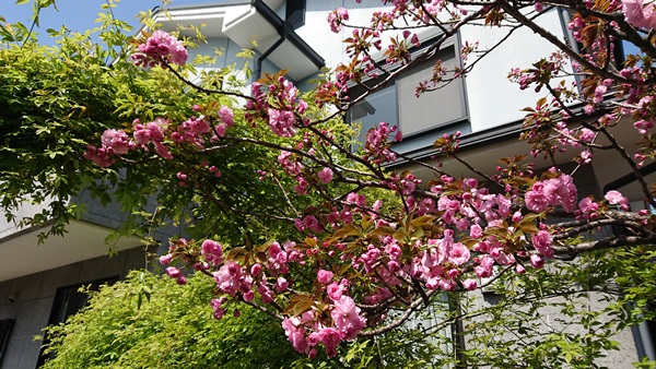 f0144970_837431.jpg