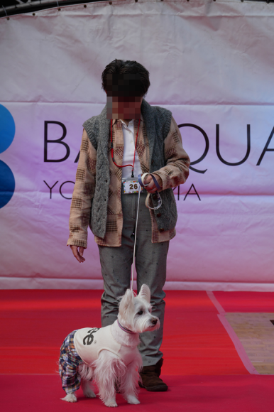 b0242873_19082848.png